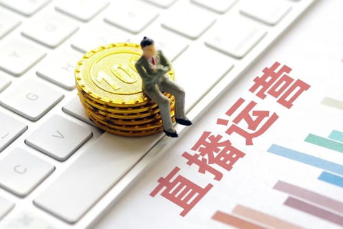 A股网络信息安全软件开发龙头 五只文化传媒行业龙头获机构与主力167亿资金抢筹，市场看好暴涨潜力